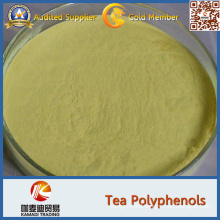 White Tea Extract Powder, White Tea Powder 90% Polyphenols